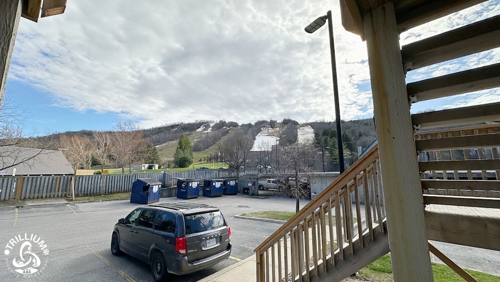 Blue Mtn 1 Bedroom with Mountain View