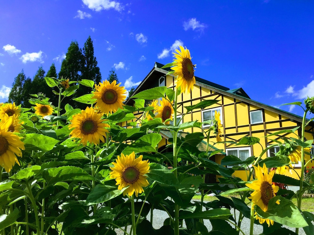 Guesthouse Kinzaza