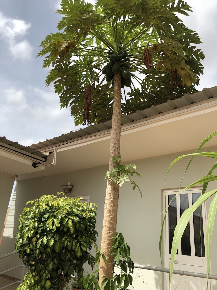 Guest House Terezinha