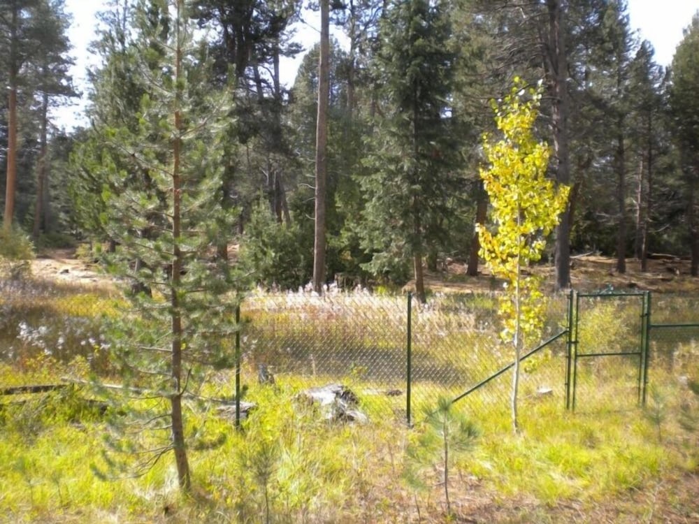 2853 Springwood Dr.