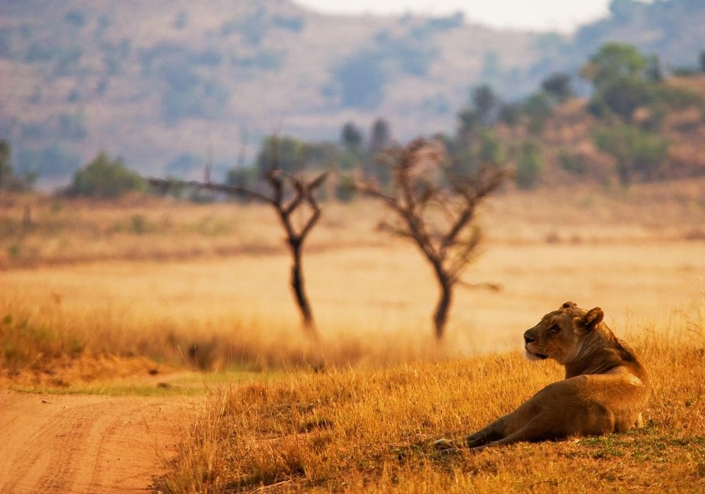Kololo Game Reserve