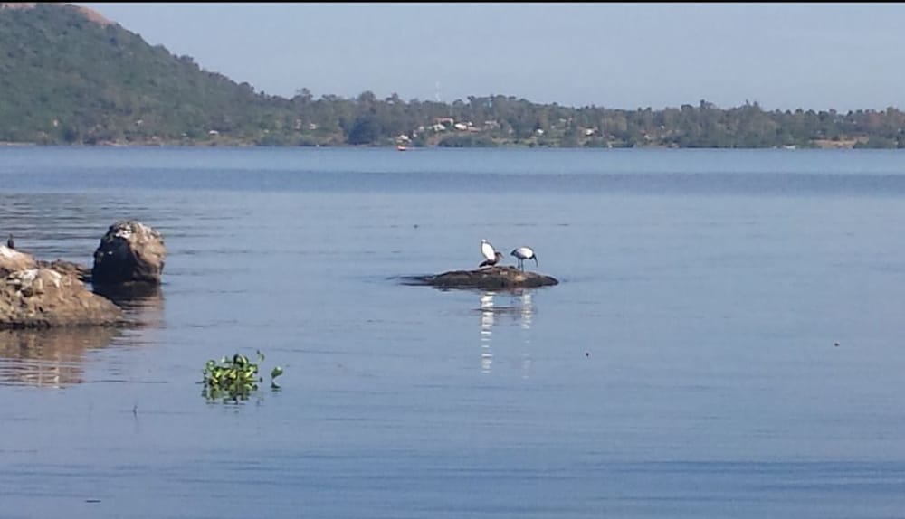El´molo Crocodile Park and Lodge