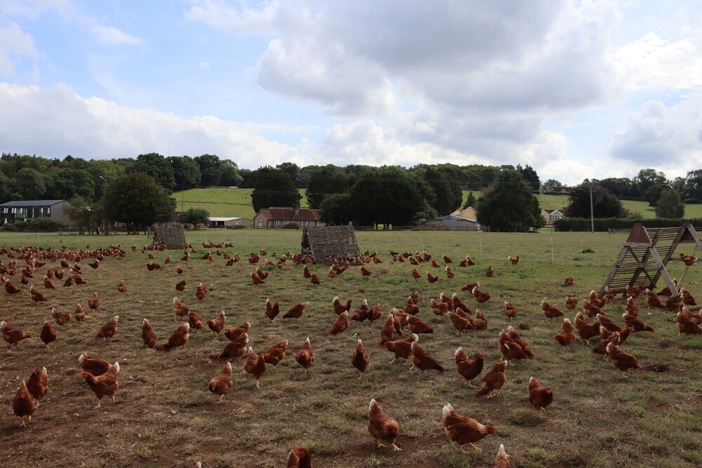 The Anchorage @ Nables Farm