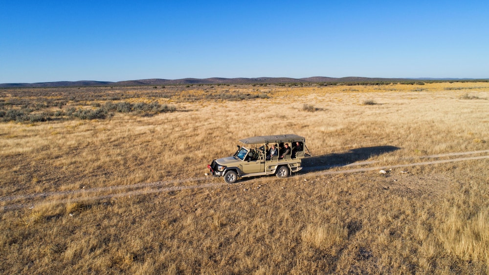 Safarihoek