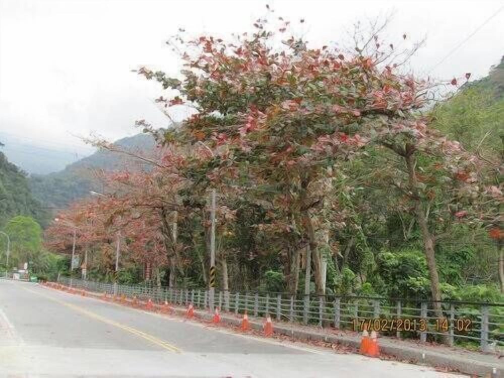 Taitung Cheng B&B