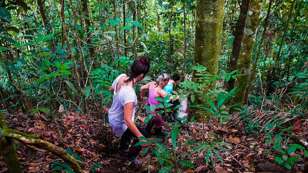 Grand Selva Lodge & Tours