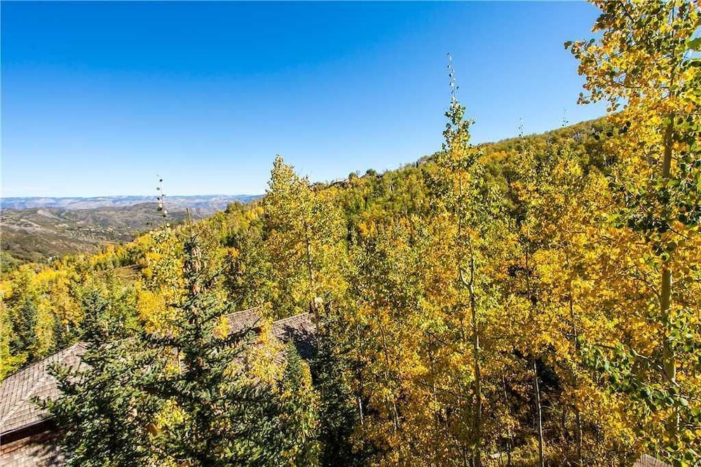 Black Bear Lodge - 5 Bedrooms Home