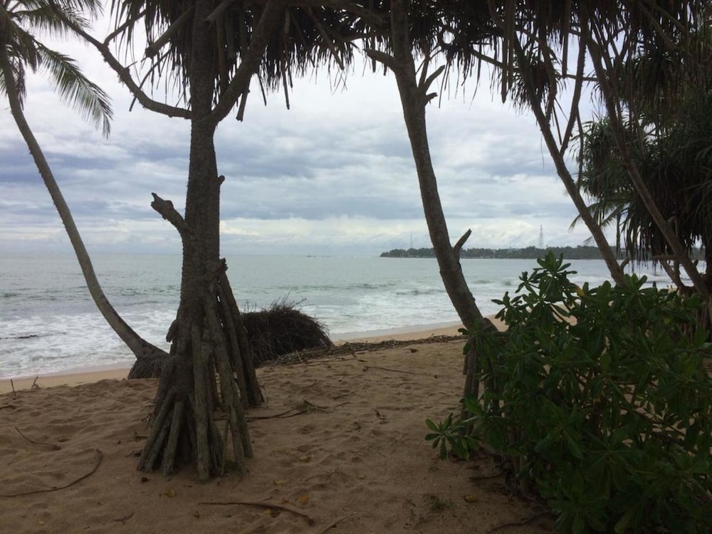 Aloha Beach Resort view 3