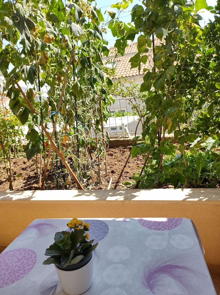 Anna Guesthouse