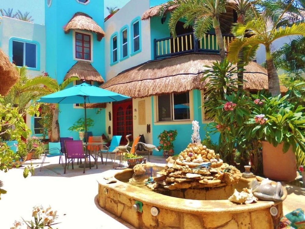 Casa Gatos