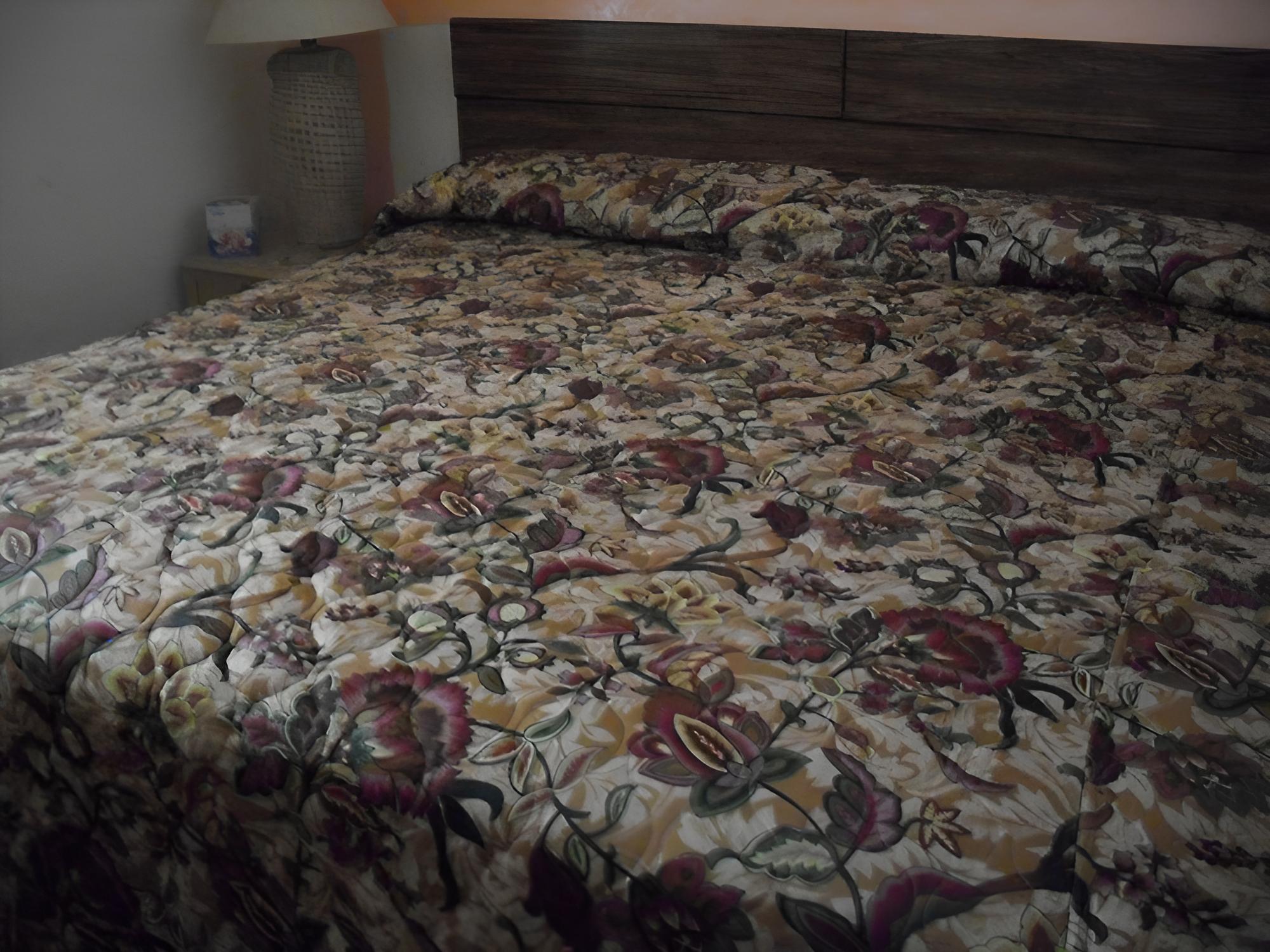 Shore Winds Motel
