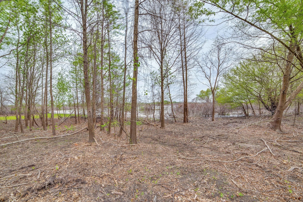 Walk to Water: Lake O' the Pines Cabin