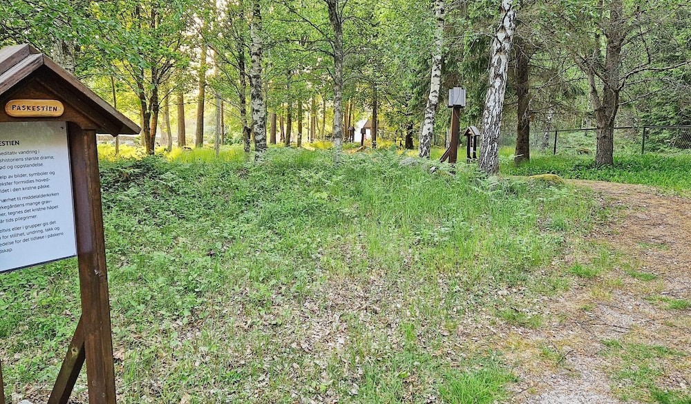 Photo 41