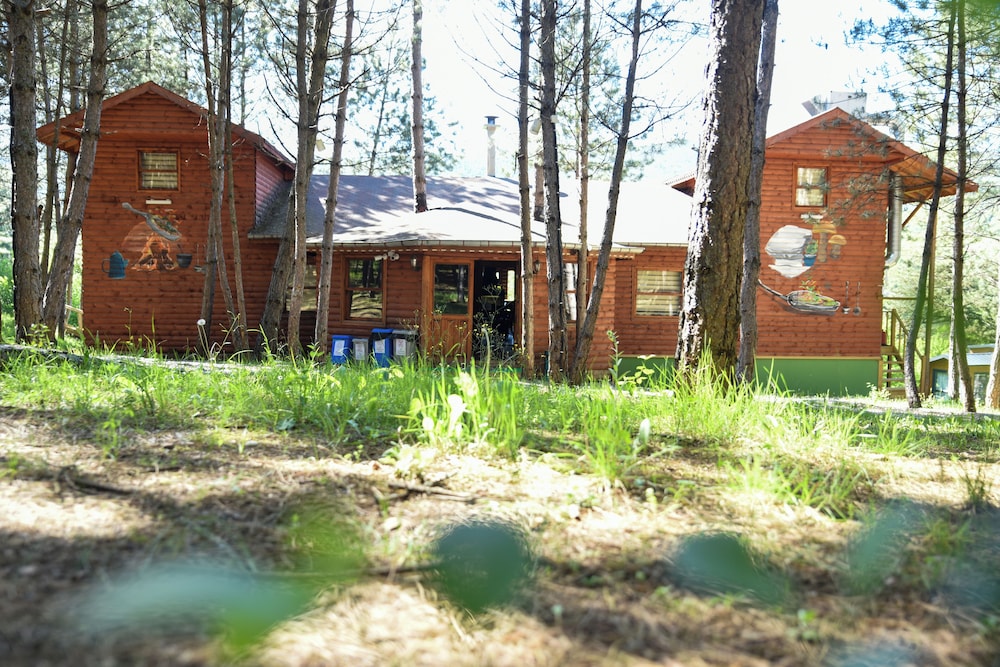 Photo 10