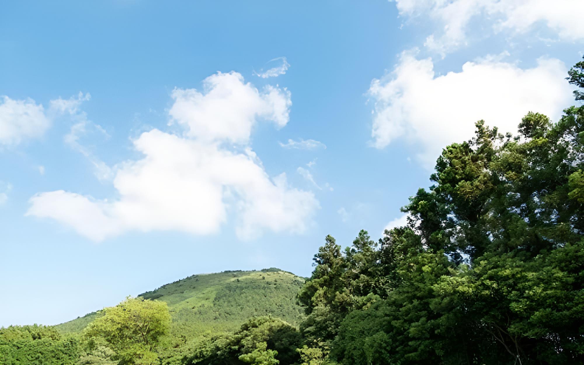 Jeju Camp Harris Spa Pension view 2