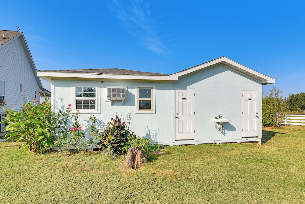 Farm Animals On-site: Needville Ranch Getaway!