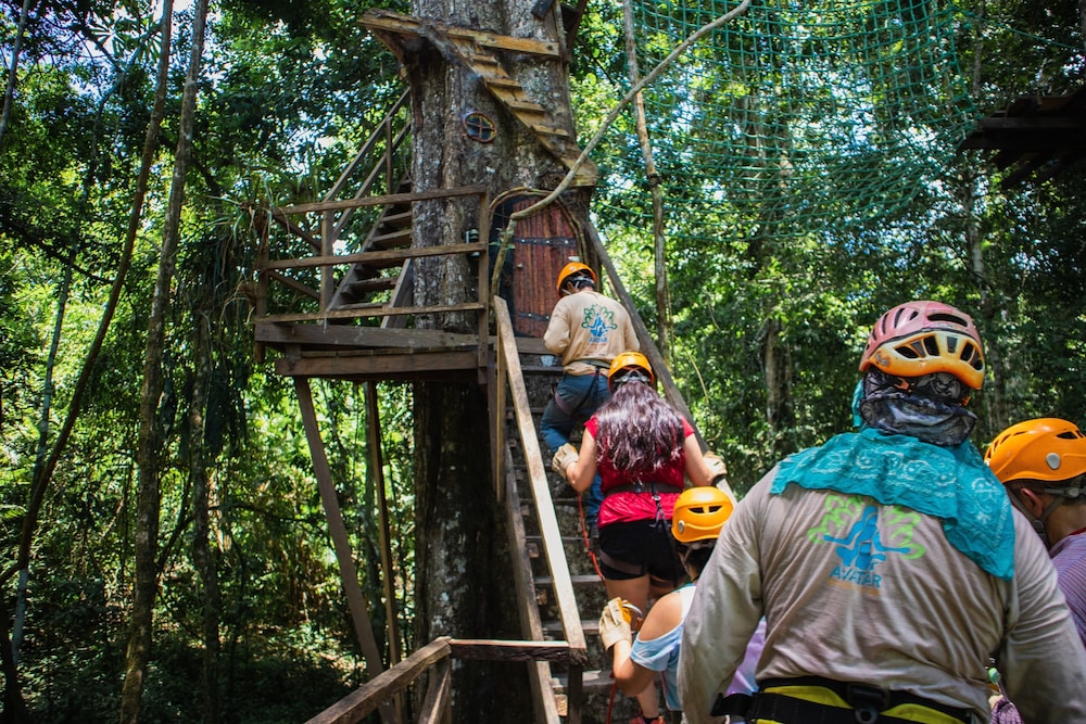 Avatar Amazon Lodge & Canopy Park