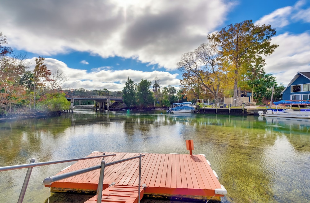 Weeki Wachee River Home on Main River by Park!