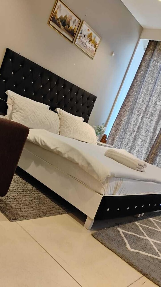 The luxury apartments