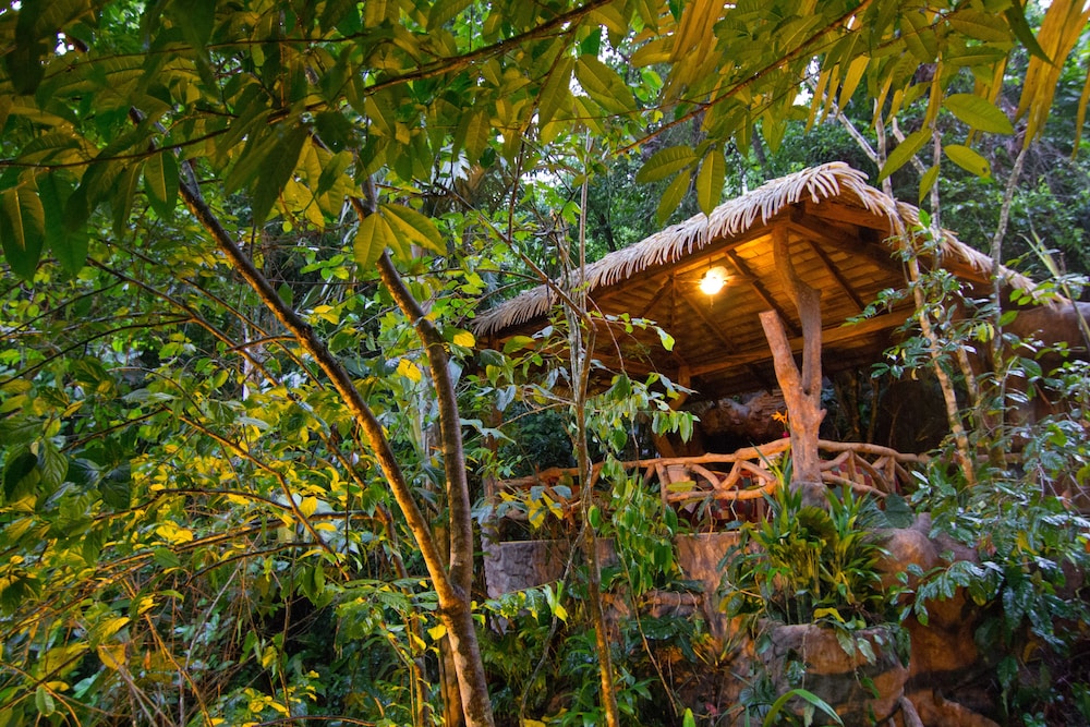 The Springs Resort & Spa at Arenal 54