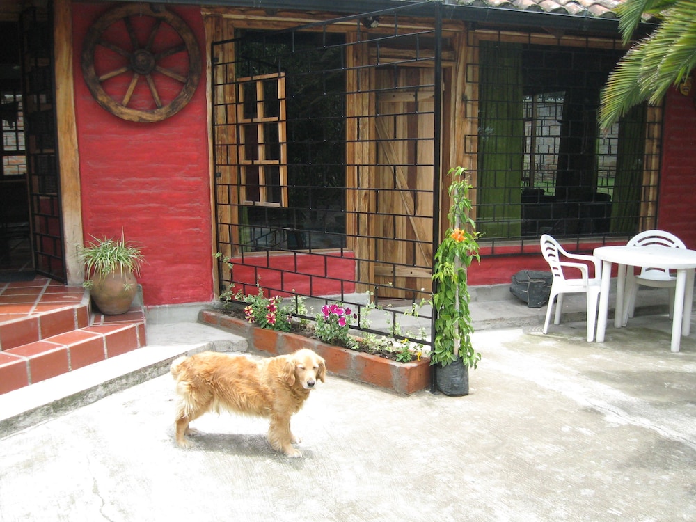 Arie s Cabin