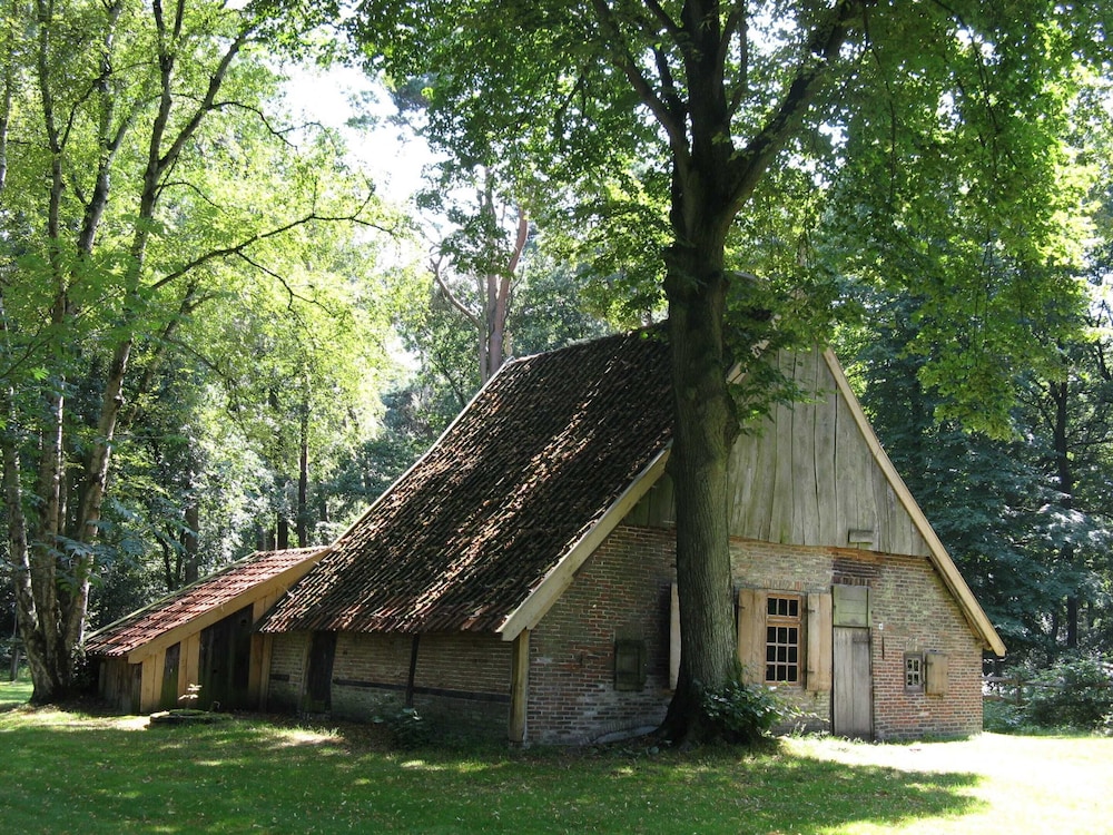Photo 29