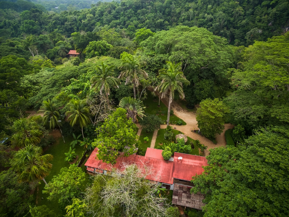 Sweet Songs Jungle Lodge, a Muy’Ono Resort