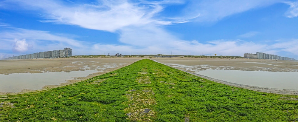 Flat With Frontal sea Views and Parking