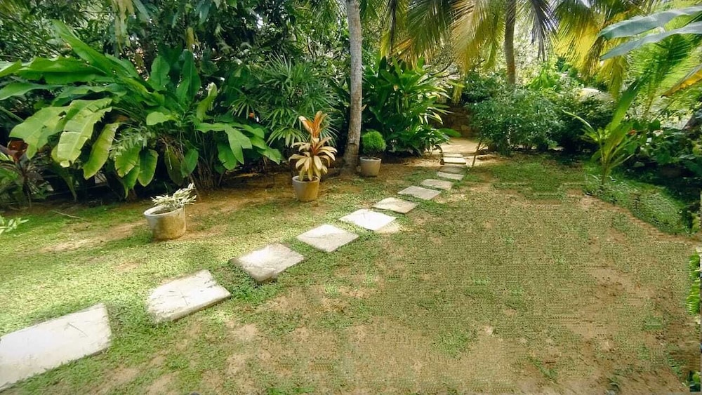 Photo 17
