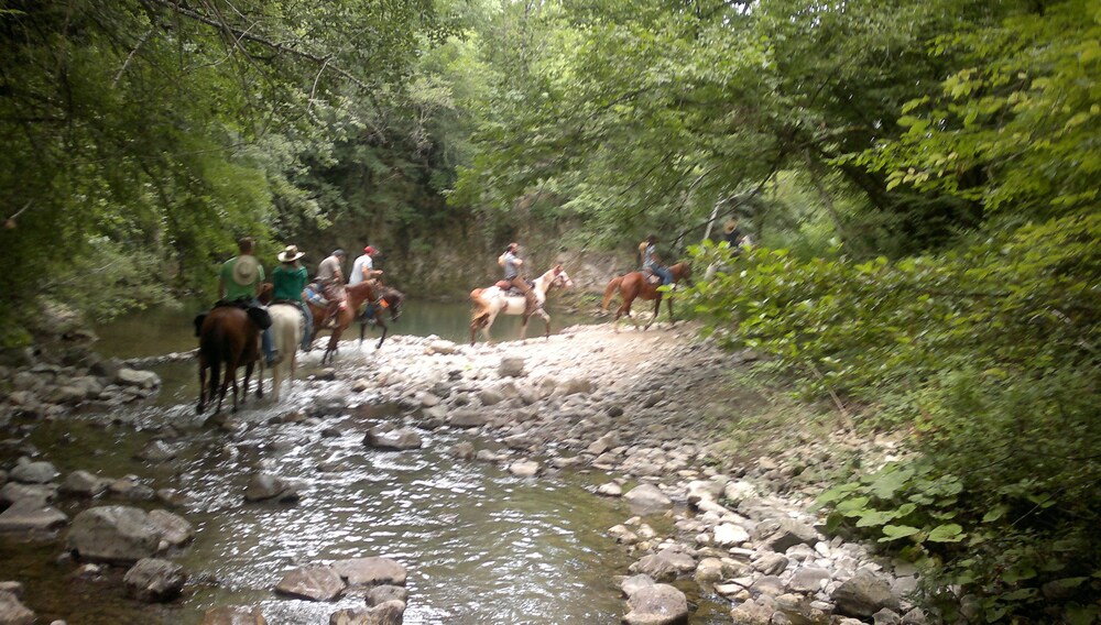 Photo 45