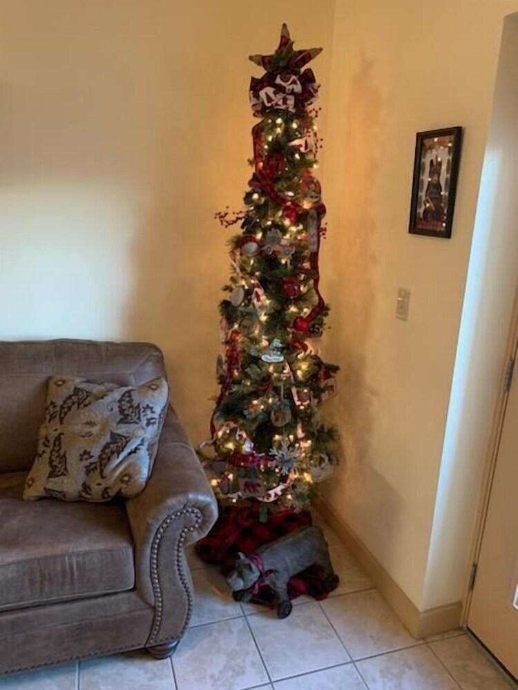 Mountain View Condo 3702