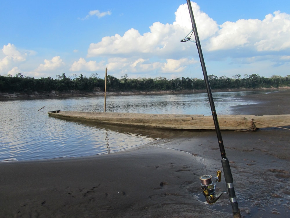 Photo 44