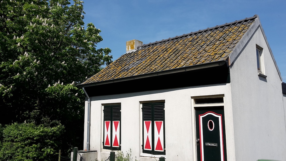 Photo 46