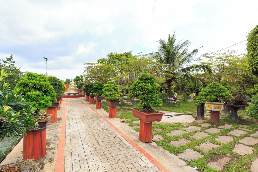 Photo 6