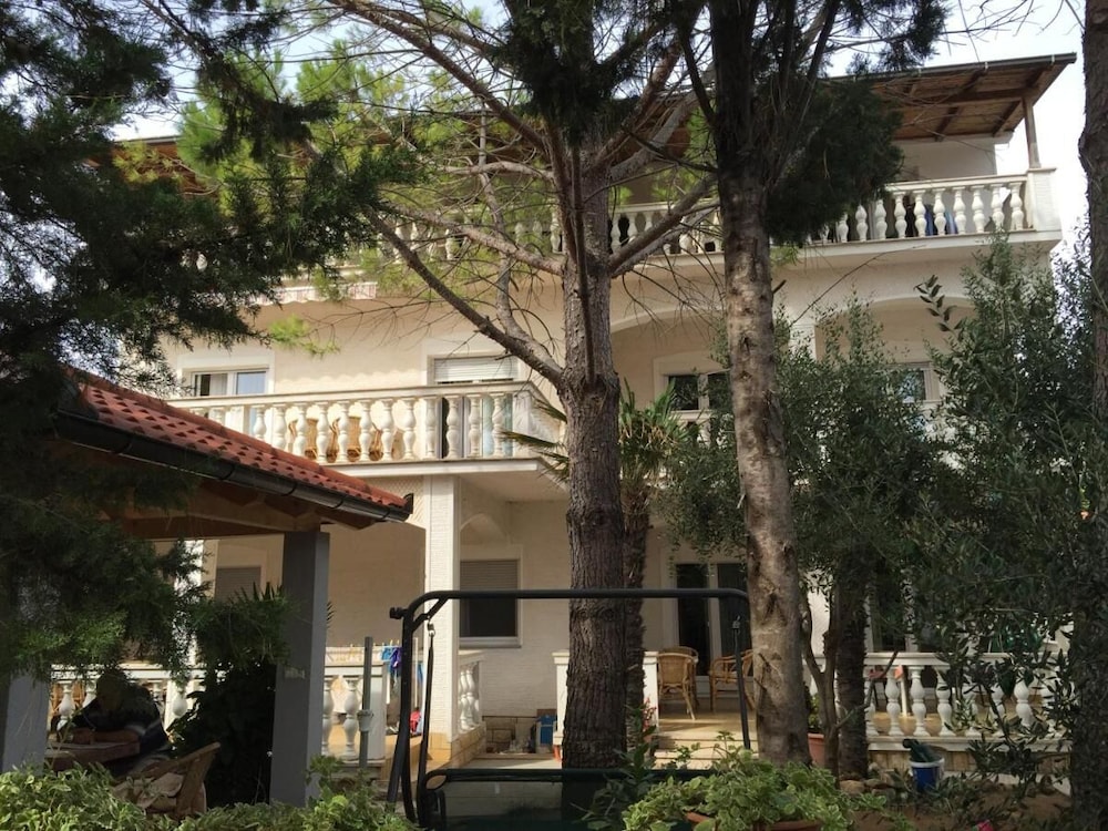 Photo 11