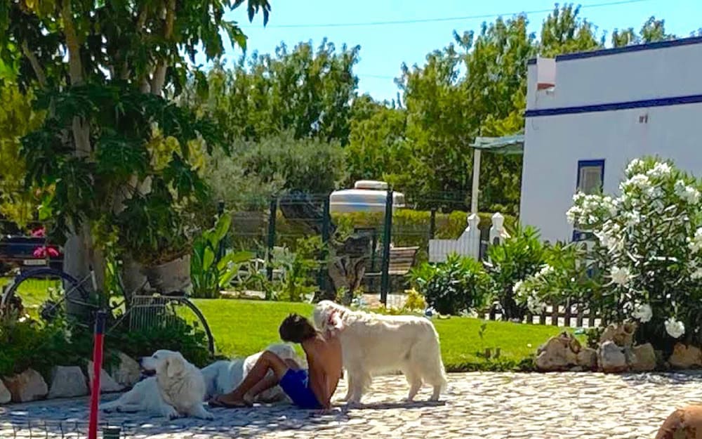 Photo 42