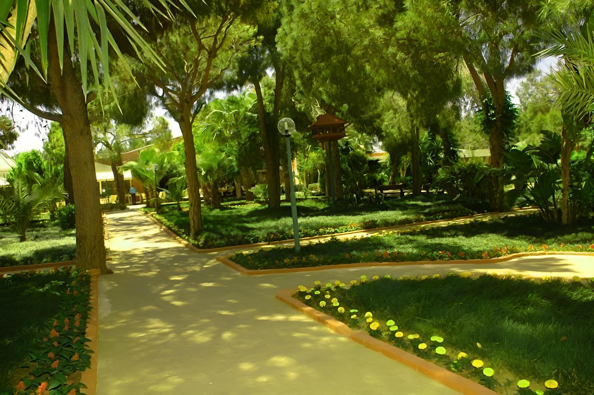Photo 100