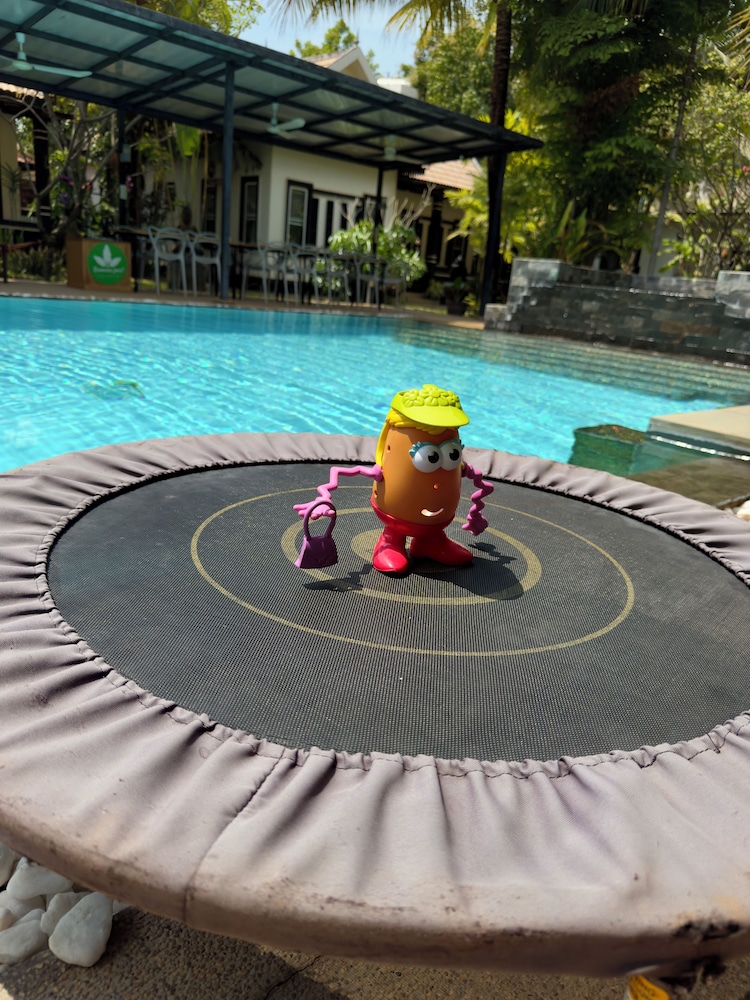 Banana Resort le Petit nid de Caro
