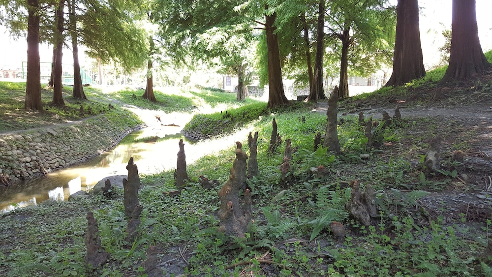 Dongshan River Left bank B&B