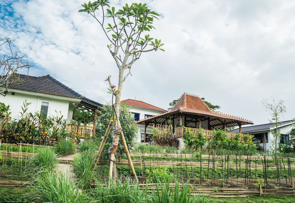 Canggu Villa & Cooking Retreat