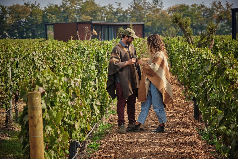 Vibo Wine Lodge