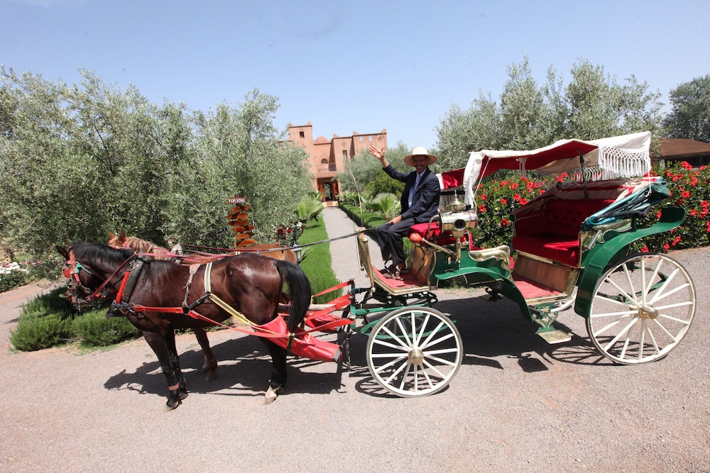 Ferme Sidi Safou