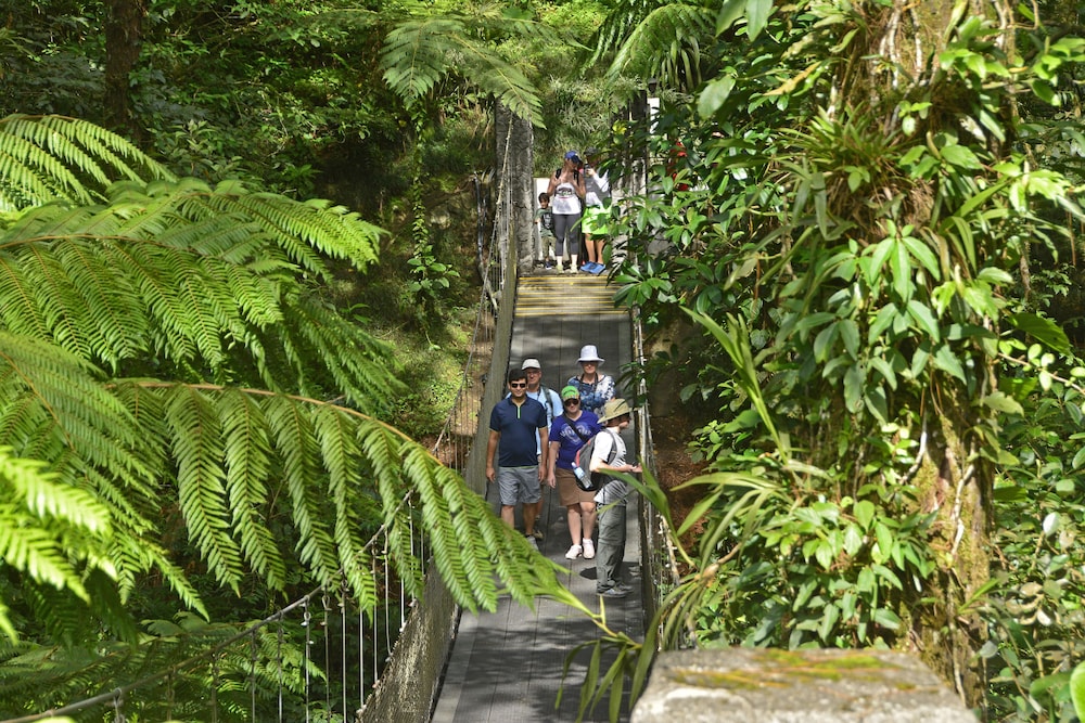 Arenal Observatory Lodge & Trails 95