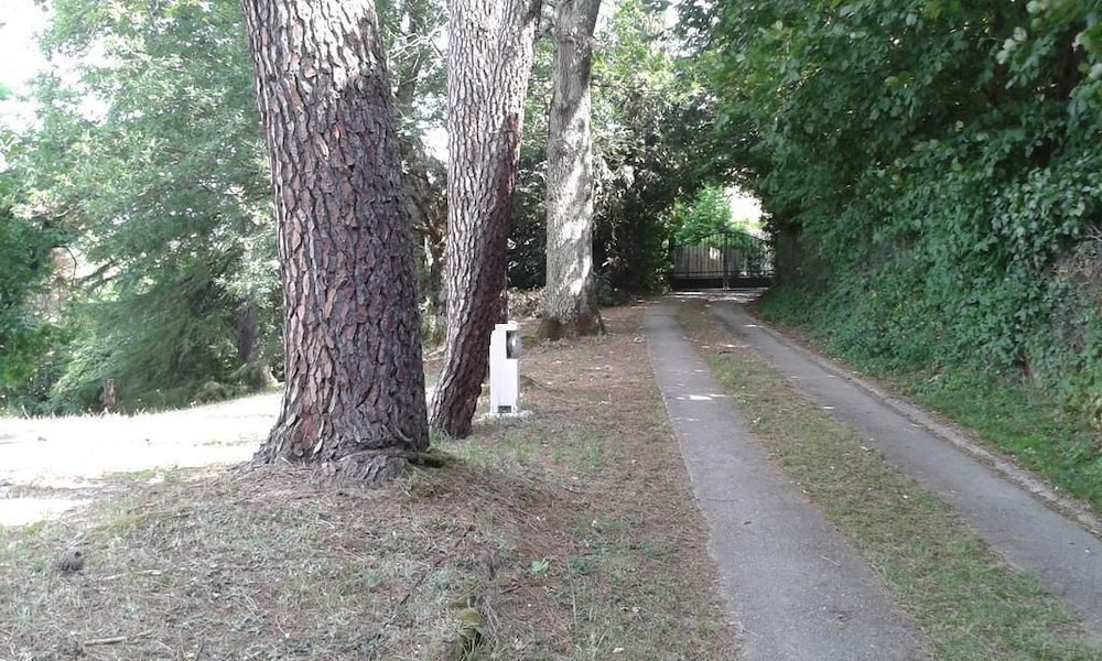 Photo 24