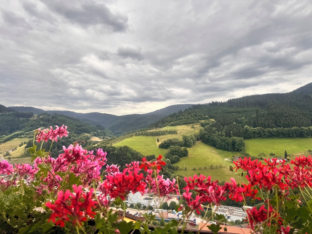 Hotel Schauinsland