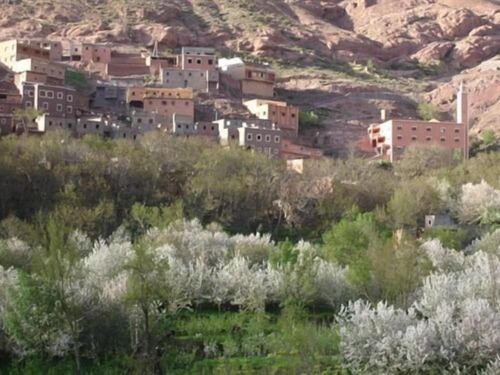 Dar Atlas
