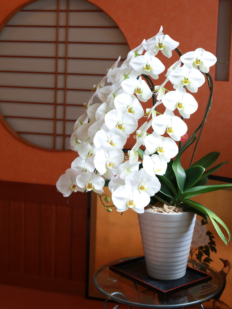 Omotenashinoyado Ryokan Shounkaku