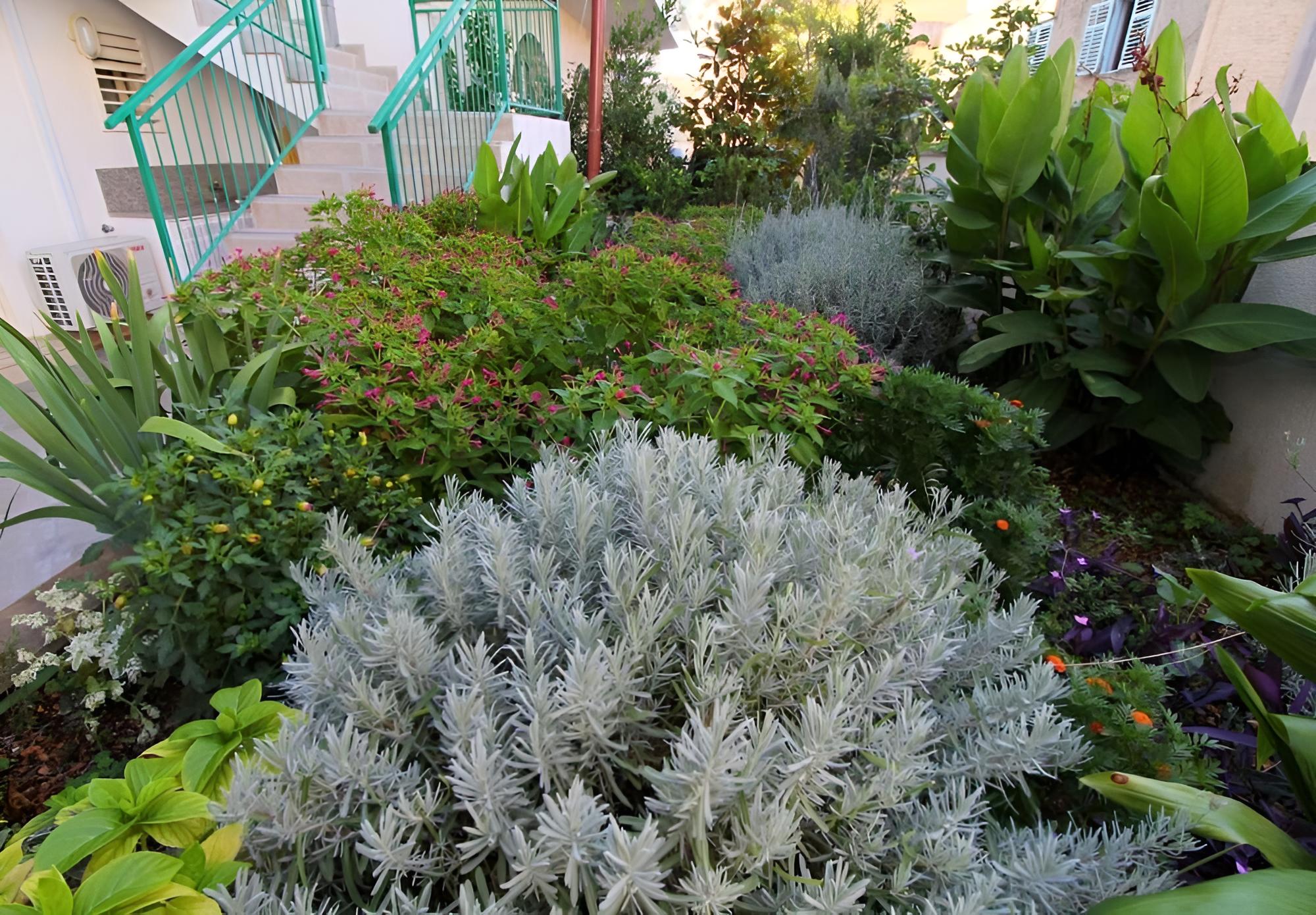 Photo 20