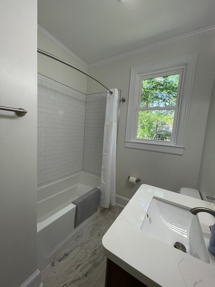 Renovated 1 Bedroom in Forest Hills - B