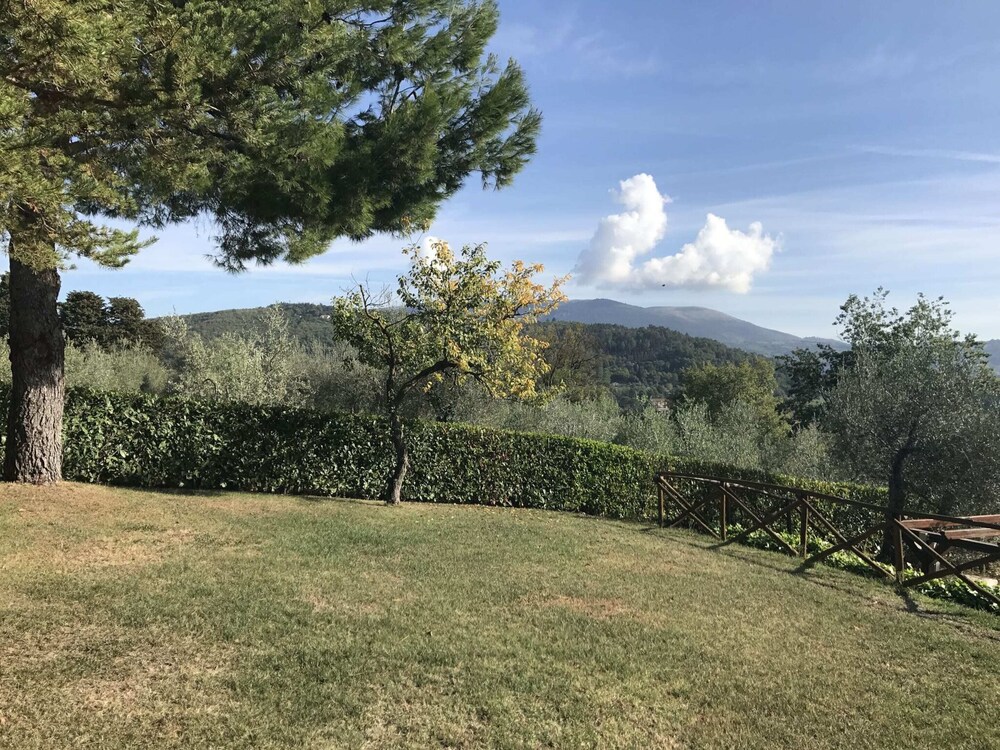 Photo 18